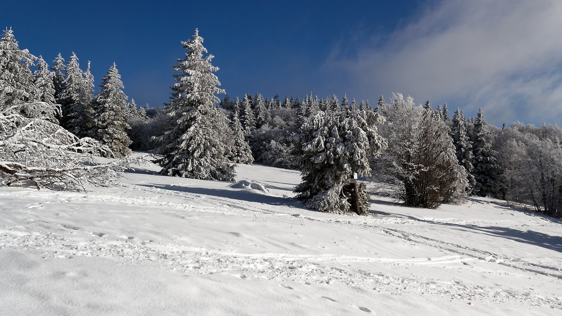 Une aventure hivernale inoubliable dans les Hautes Vosges